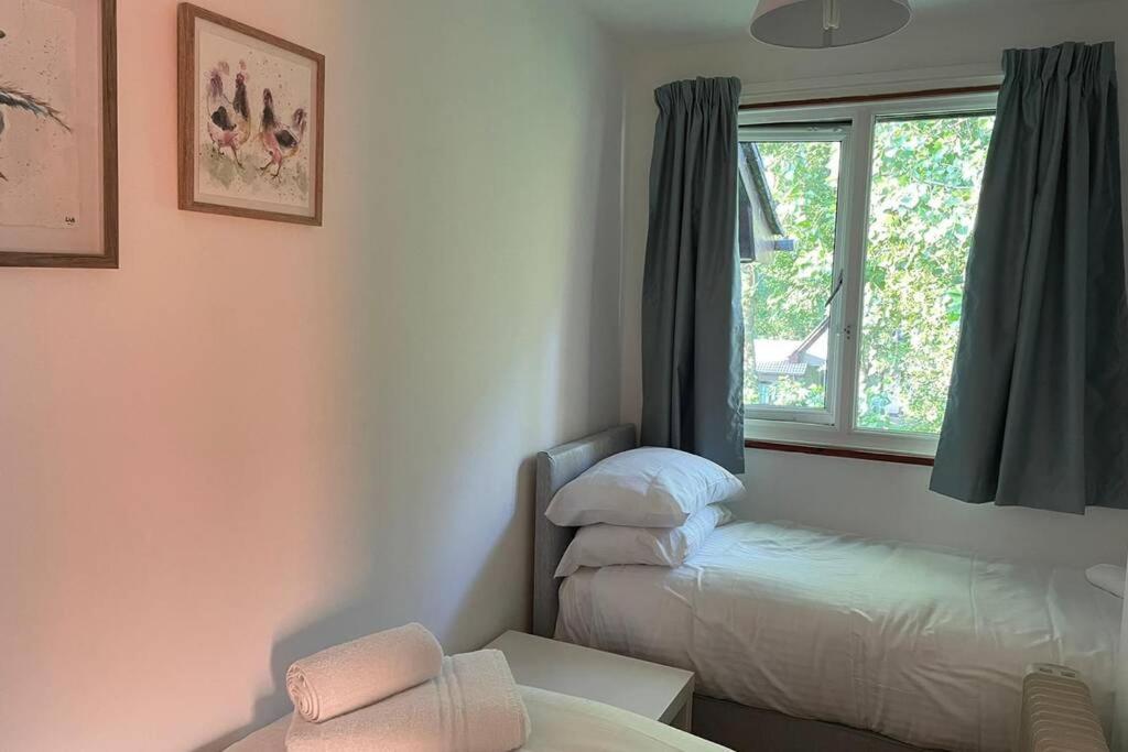 37 Strawberry Hill, Hayle Villa Ngoại thất bức ảnh